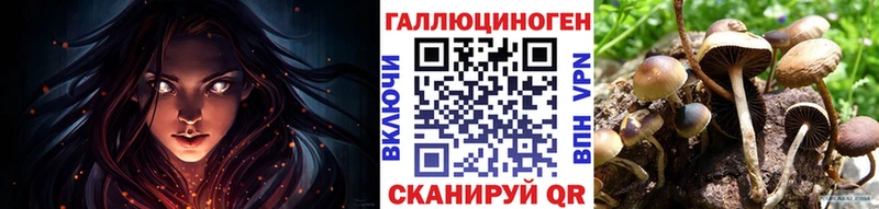 Купить где  Сорск  Псилоцибиновые грибы MAGIC MUSHROOMS 